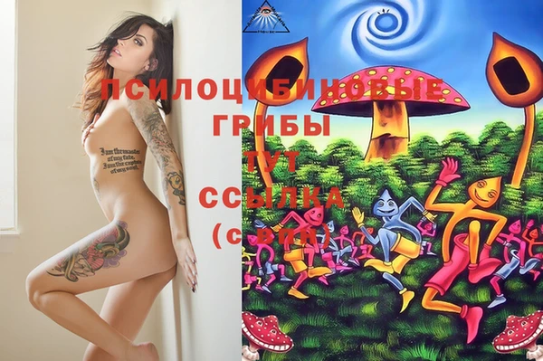 таблы Заволжье