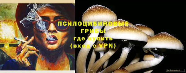 кокаин колумбия Заводоуковск