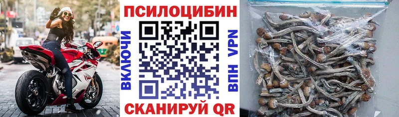 Купить  Барыш  Галлюциногенные грибы ЛСД 